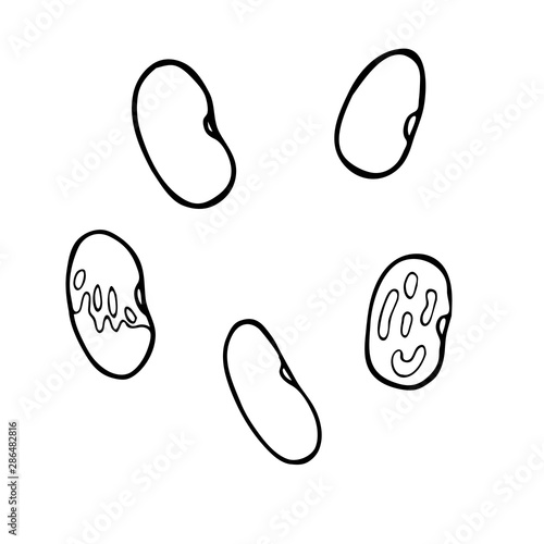 Outline vegetable bean