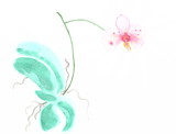 Drawing with watercolors: Blooming orchid phalaenopsis