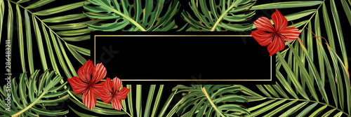 Tropical forest. Jungle background flower and palm. Vector floral illustration. Green tropical forest banner