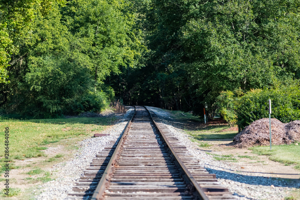 Railroad tracks in summertime with trees