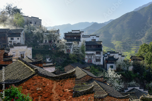 Spring, a village with flowers blooming