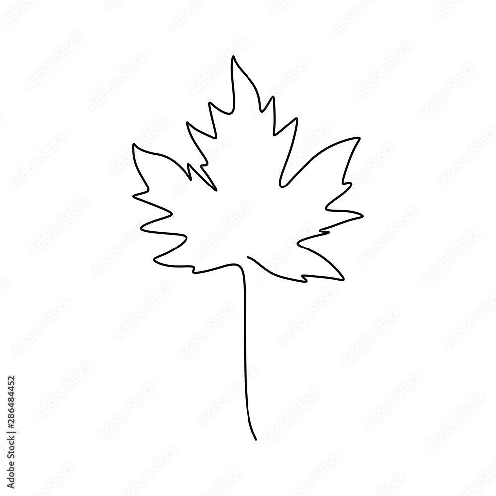 Maple leaf continuous one line drawing minimalism design Stock Vector ...