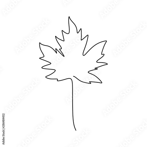 Maple leaf continuous one l...