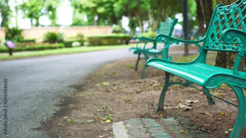 Park bench in public park with green and natural tee Park bench in public park with green and natural tee