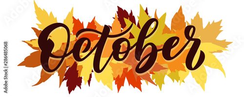 October, vector script with decorative maple leaves elements. Hand drawn brush lettering for autumn events, posters, and banners. photo