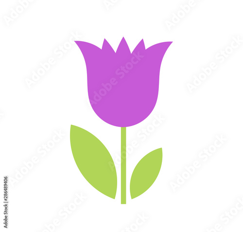 Purple bellflower flower icon.