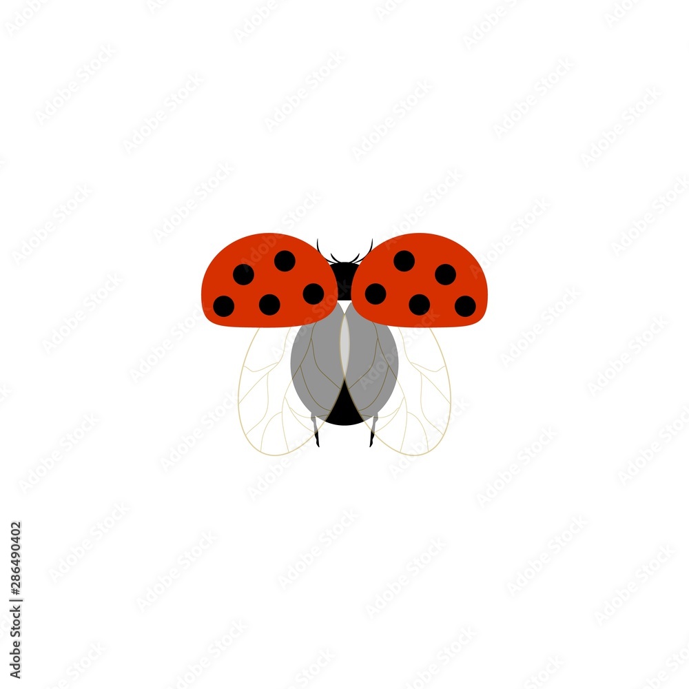 Ladybug isolated. Illustration ladybird fly. Cute colorful sign red insect symbol spring, summer, garden. Template for t shirt, apparel, card, poster, etc. Design element Vector illustration. Ladybug isolated. Illustration ladybird fly. Cute colorful sign red insect symbol spring, summer, garden. Template for t shirt, apparel, card, poster, etc. Design element Vector illustration.