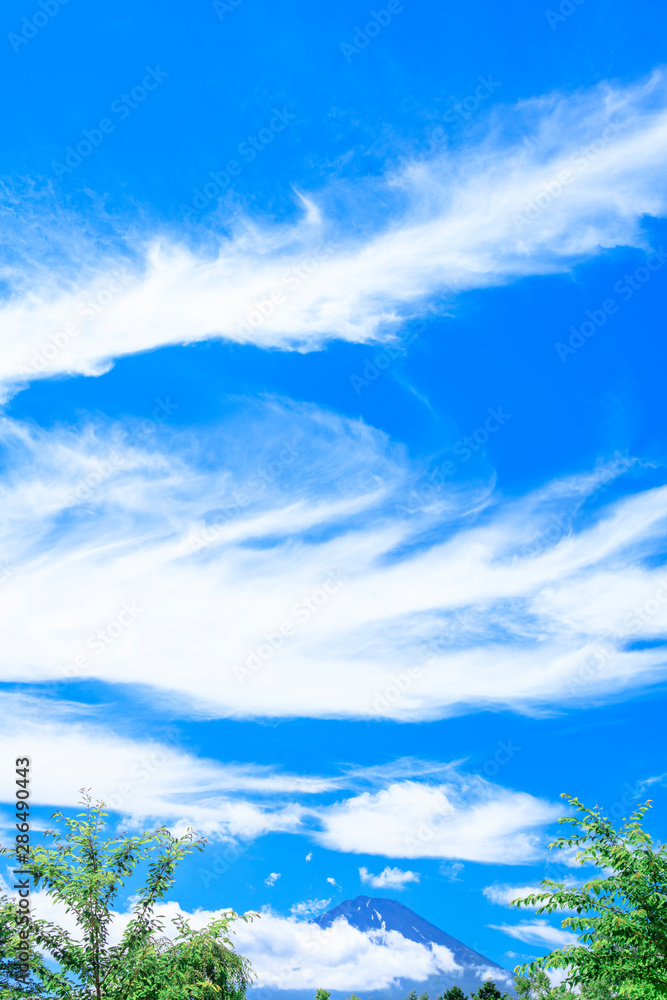 Obraz premium 新緑の木立と雲