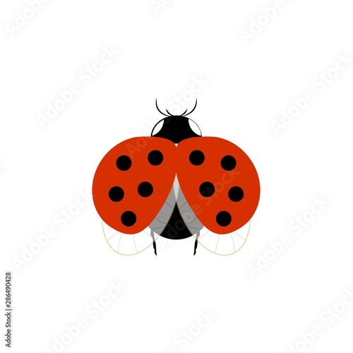 Ladybug isolated. Illustration ladybird fly. Cute colorful sign red insect symbol spring, summer, garden. Template for t shirt, apparel, card, poster, etc. Design element Vector illustration.