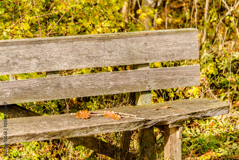 Beautiful wooden bench in the autumnal nature. The sun is shining beautiful autumn time. Beautiful wooden bench in the autumnal nature. The sun is shining beautiful autumn time.