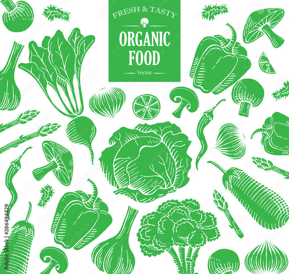 hand drawn organic vegetable food illustration hand drawn organic vegetable food illustration