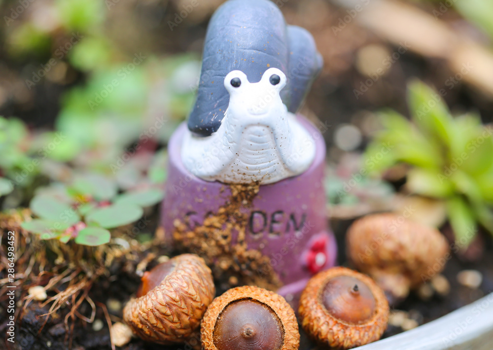 the little snail sculpture Behind the acorn - Image the little snail sculpture Behind the acorn - Image