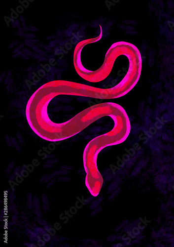 illustration snake