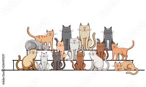 group of cats on the steps