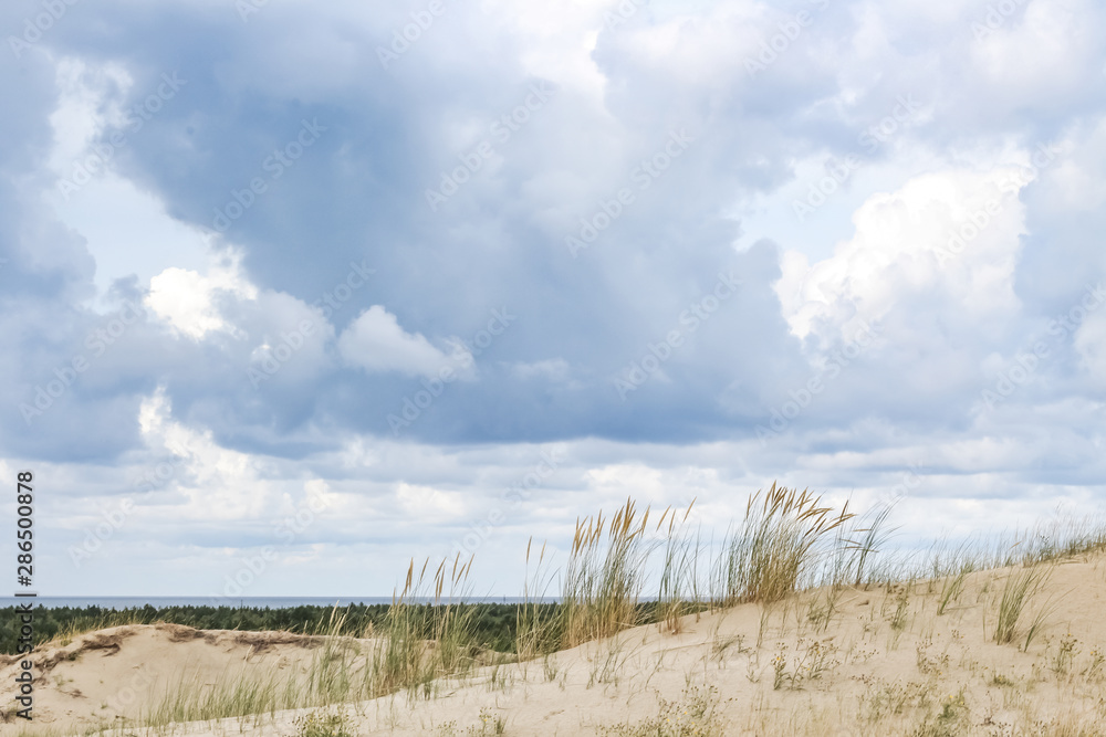 Wild sand dunes in Nida, Lithuania. Landscape before the storm, sand and wind, dark sky.
