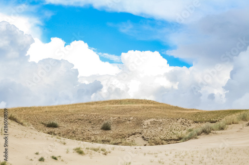 Wild sand dunes in Nida  Lithuania. Landscape before the storm  sand and wind  dark sky.