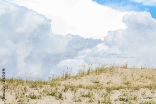 Wild sand dunes in Nida  Lithuania. Landscape before the storm  sand and wind  dark sky.