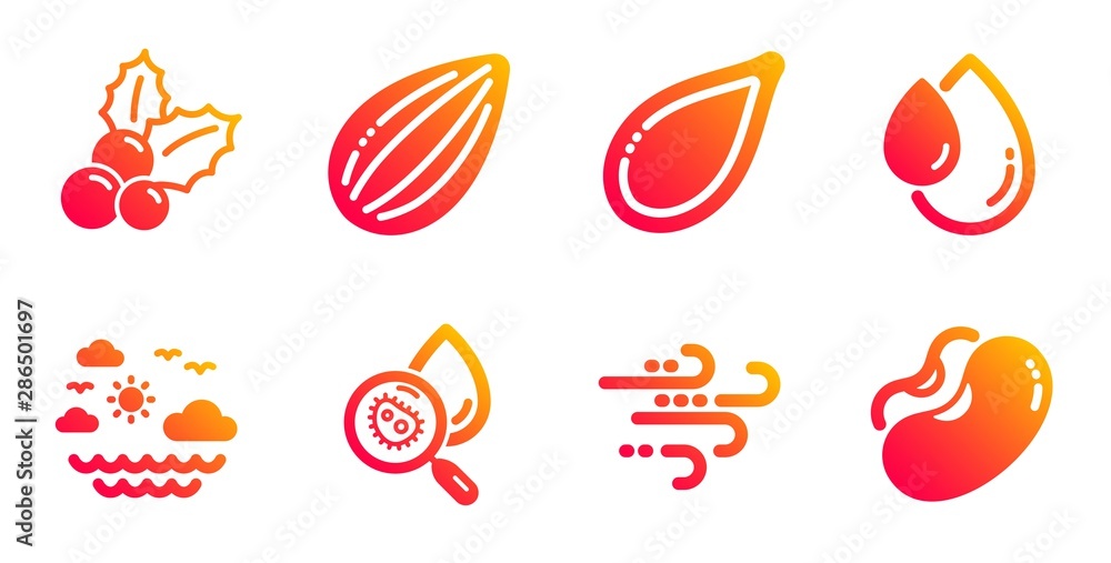 Water analysis, Travel sea and Windy weather line icons set. Oil drop, Christmas holly and Pumpkin seed signs. Almond nut, Beans symbols. Aqua bacteria, Summer holidays. Nature set. Vector Water analysis, Travel sea and Windy weather line icons set. Oil drop, Christmas holly and Pumpkin seed signs. Almond nut, Beans symbols. Aqua bacteria, Summer holidays. Nature set. Vector