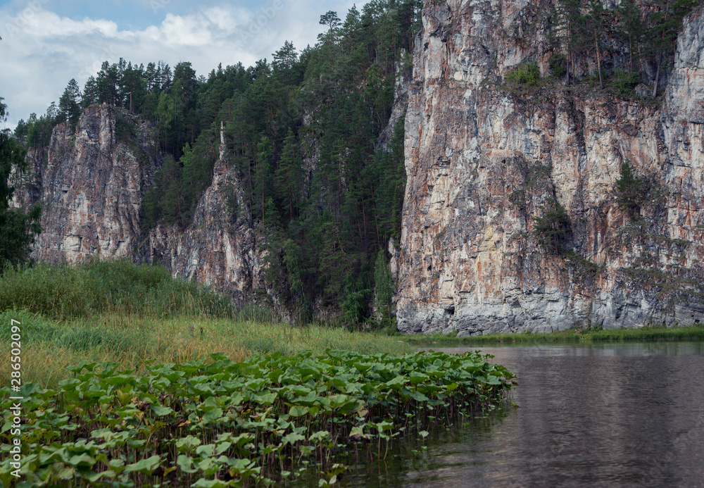 The river against the backdrop of mountains and forests in cloudy weather. The river against the backdrop of mountains and forests in cloudy weather.