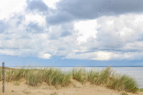 Wild sand dunes in Nida, Lithuania. Landscape before the storm, sand and wind, dark sky.