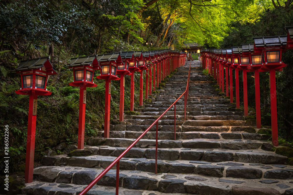 京都府 貴船神社 新緑