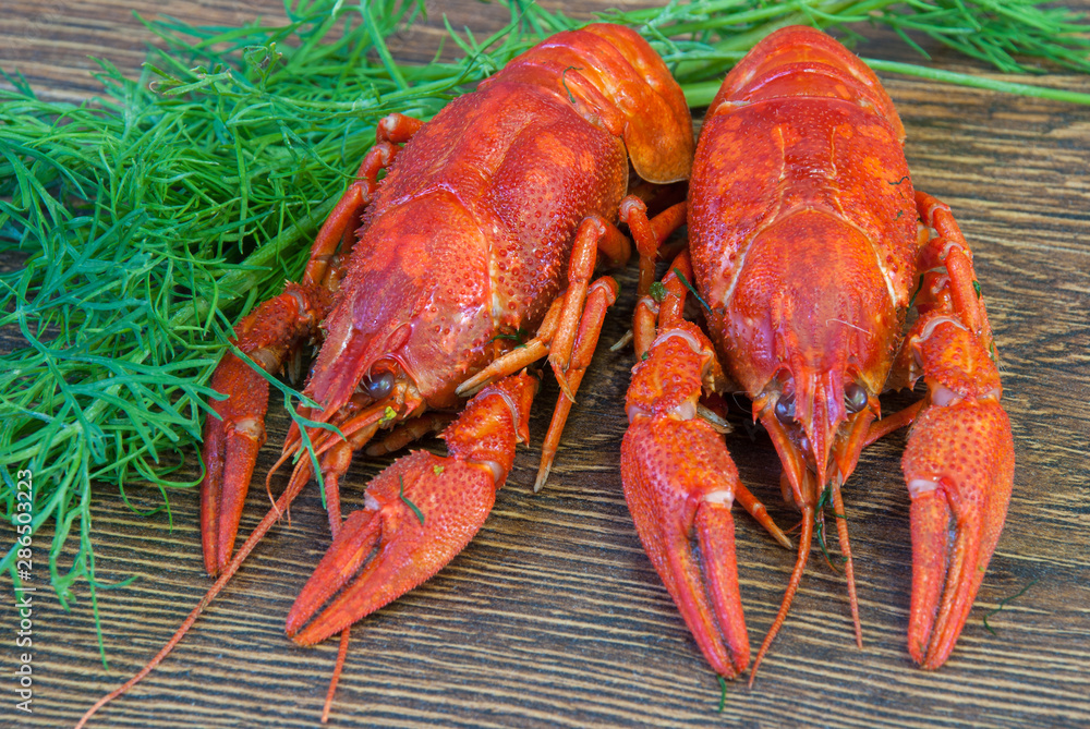 Boiled crayfish with dill on wooden background Boiled crayfish with dill on wooden background
