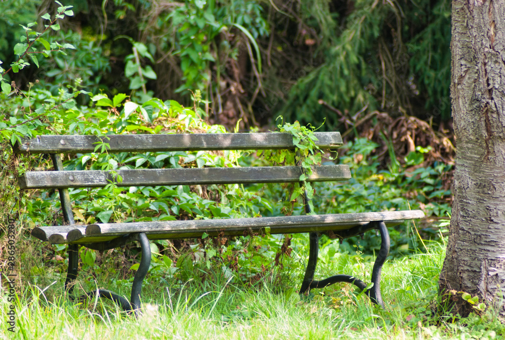 Naklejka premium alte Bank