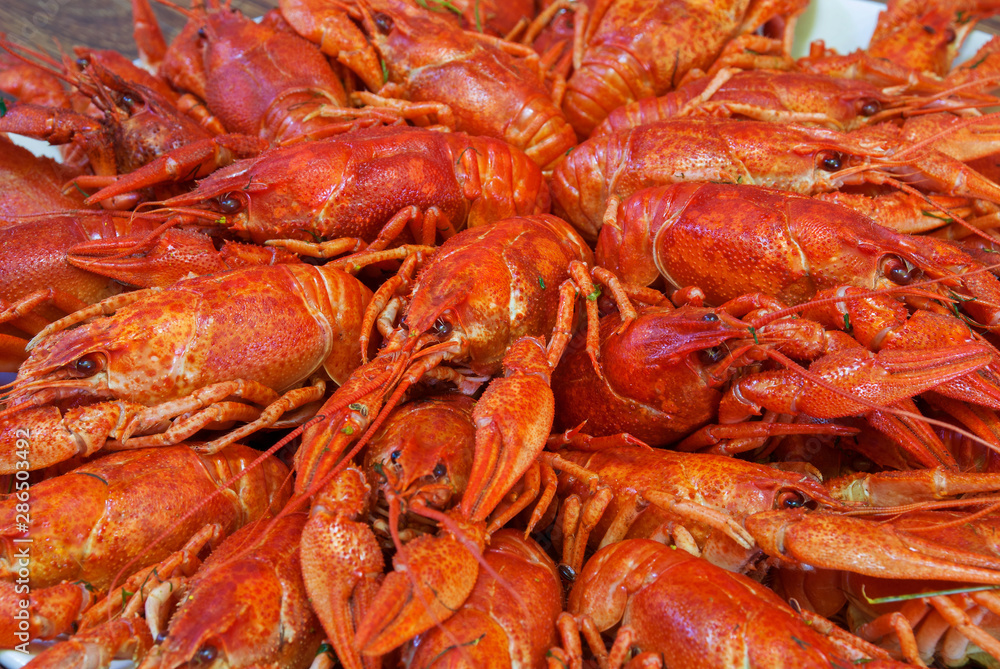 Still life with crayfish crawfish on old wooden background Still life with crayfish crawfish on old wooden background