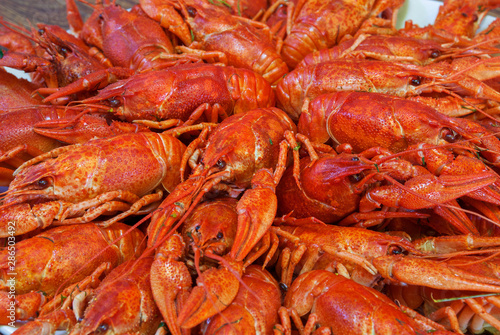 Still life with crayfish crawfish on old wooden background