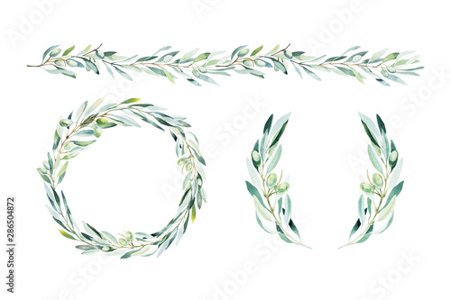 Watercolor olive branch. Sketch of olive branch on white background