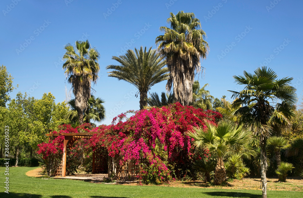 Park of Metohi of Kykkos monastery (Nicosia complex) in Nicosia. Cyprus