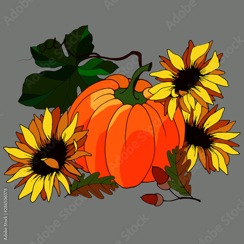 autumn composition  pumpkin with sunflowers and acorns