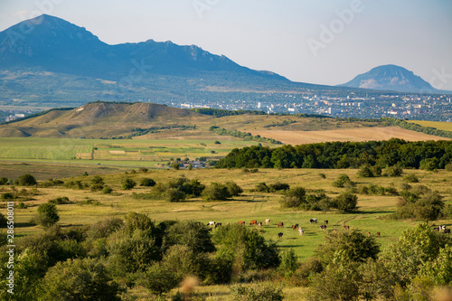 Panorama of the Mineralnye Vody resort in Stavropol Region in Russia. Caucasus