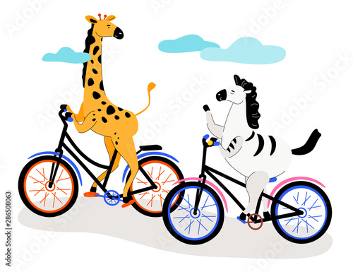 Zebra and giraffe cycling - modern flat design style illustration