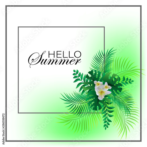  Beautiful summer banner with exotic palm leaves and daylily flowers. Frame, brochure template.