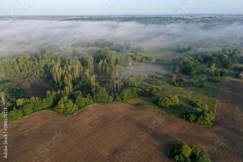 Plowed farm field by summer end forest with mist, aerial