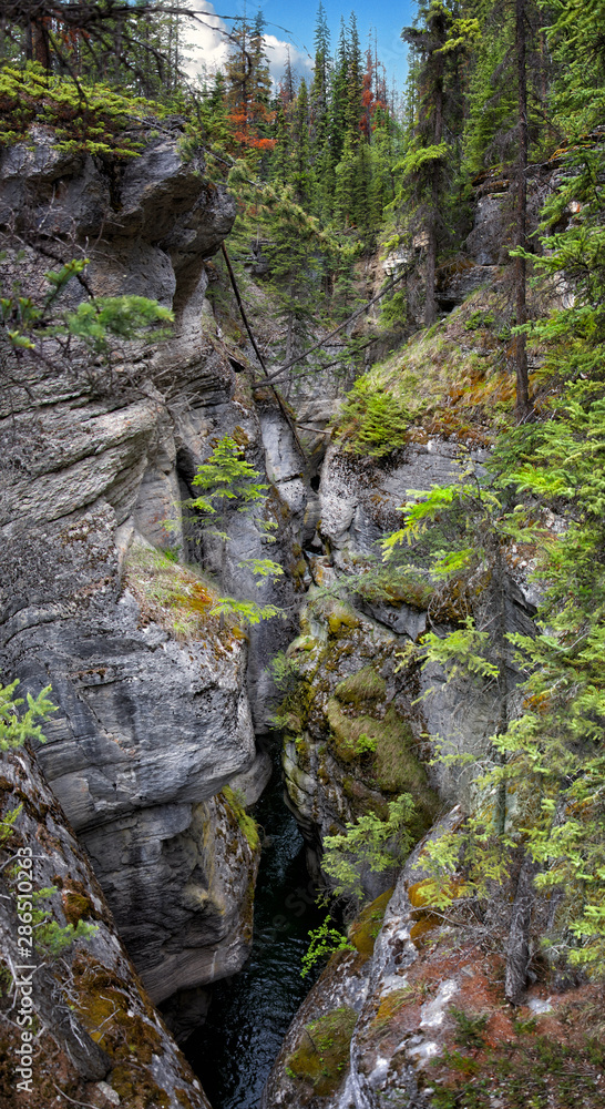clean mountain river with turquoise water flows in a deep rocky picturesque Maligne Canyon, surrounded by pine forest, Jasper National Park, Alberta, Canada clean mountain river with turquoise water flows in a deep rocky picturesque Maligne Canyon, surrounded by pine forest, Jasper National Park, Alberta, Canada