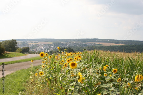 Blick auf Thalfang photo