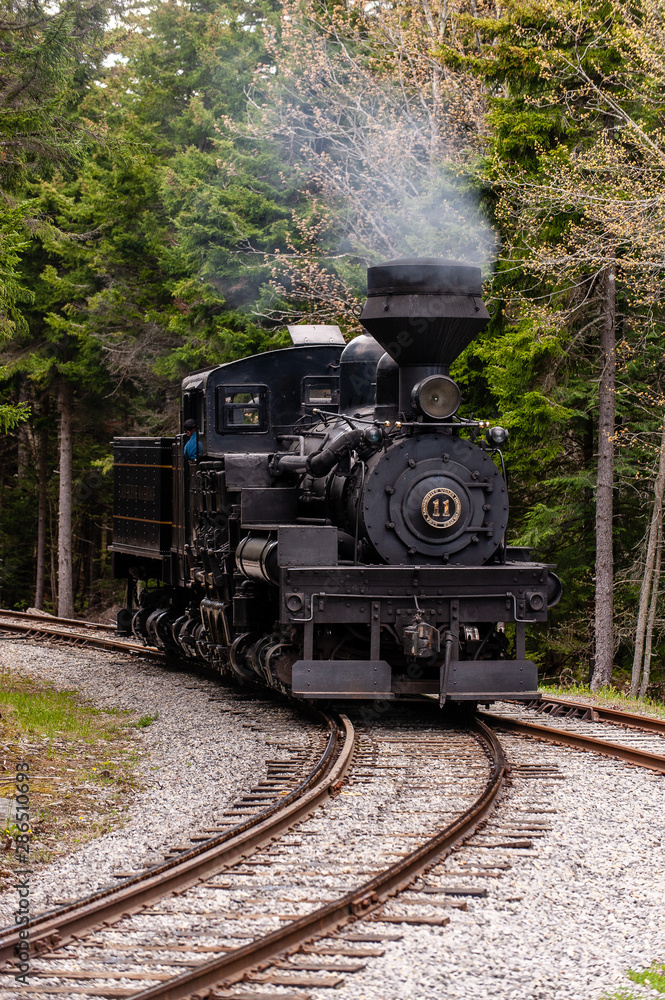 Naklejka premium Antique Steam Shay Locomotive Train in Appalachian Forest - Historic Cass Scenic Railroad - West Virginia