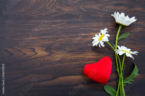 White daisies and red heart on brown wooden background.