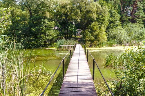 Wooden footbridge  water and trees at the end of summer