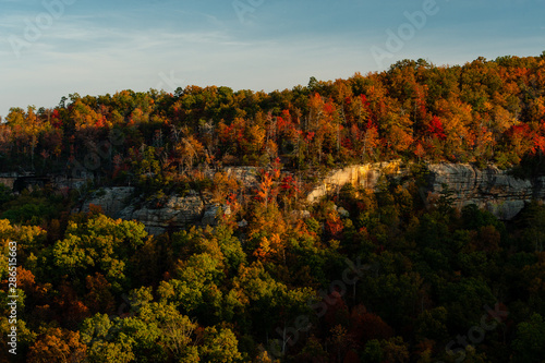 Red River Gorge Cliffs + Fall / Autumn Color Trees - Daniel Boone National Forest - Kentucky