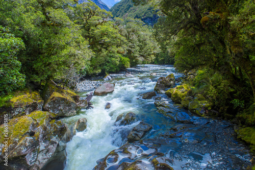 Scenic river stream in untouched forest.