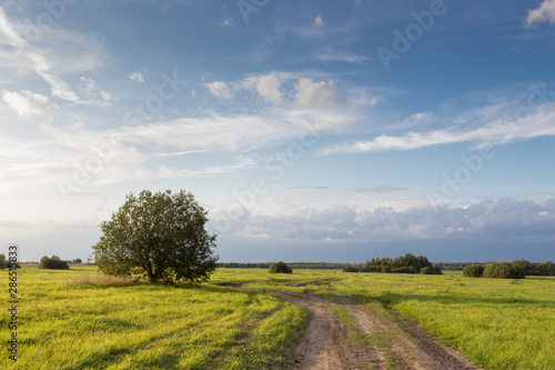 road in the field