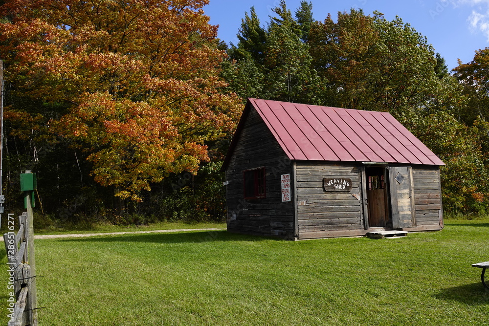 Fototapeta premium Old cabin resides near a beautiful autumn forest.