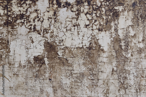 Wooden wall with white paint is highly eroded and soiled.