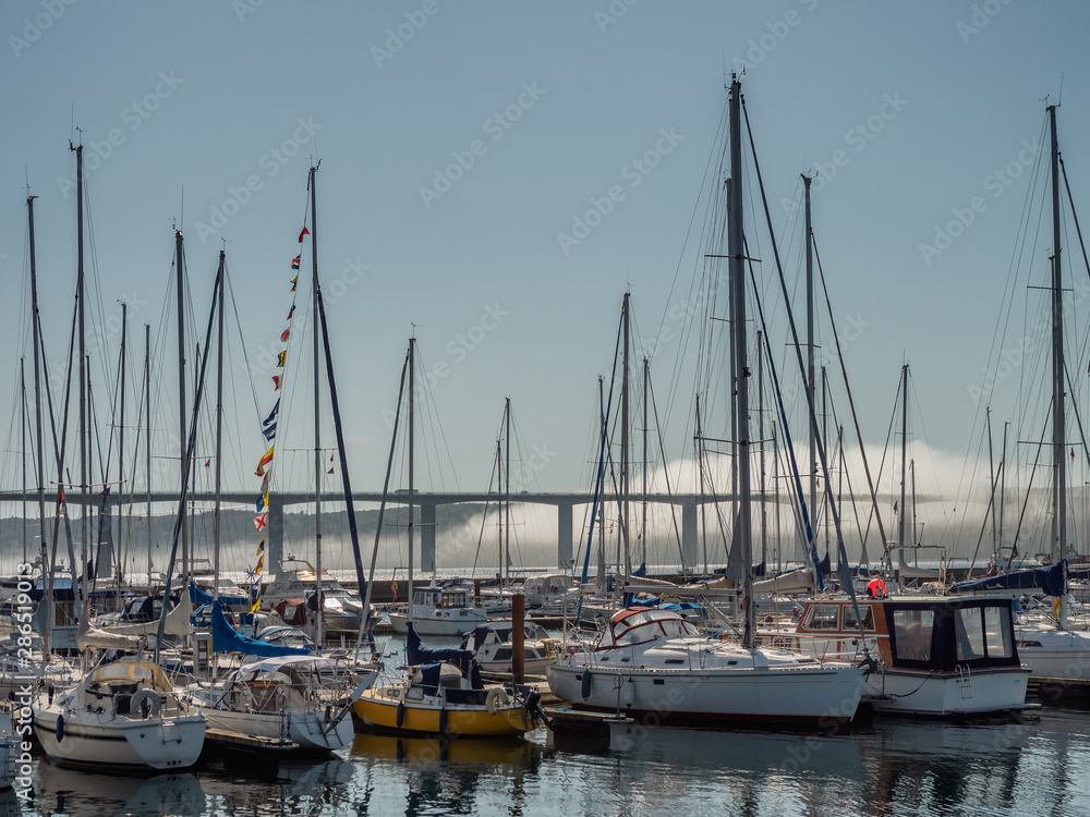 Fototapeta premium Vejle inner marina harbor with modern apartments and small boats, Denmark