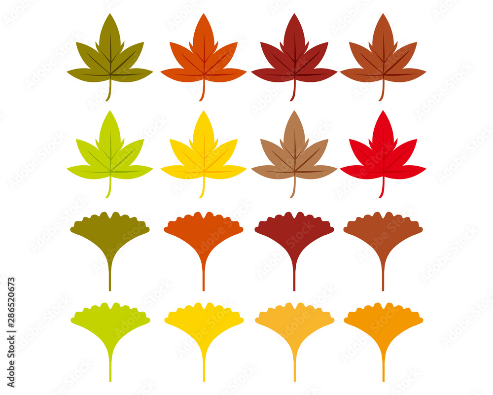 銀杏 イチョウ 葉 秋 落ち葉 イラスト 紅葉 落葉 楓 もみじ Stock Vector Adobe Stock