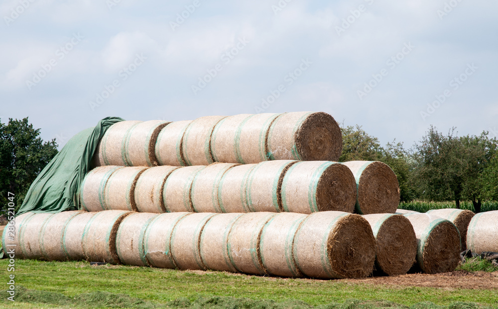 roles of straw stacked up in a meadow