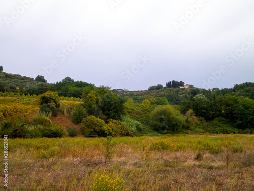 Tuscan field on a cloudy day